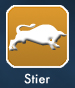 STIER