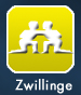 ZWILLINGE