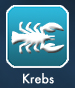 KREBS